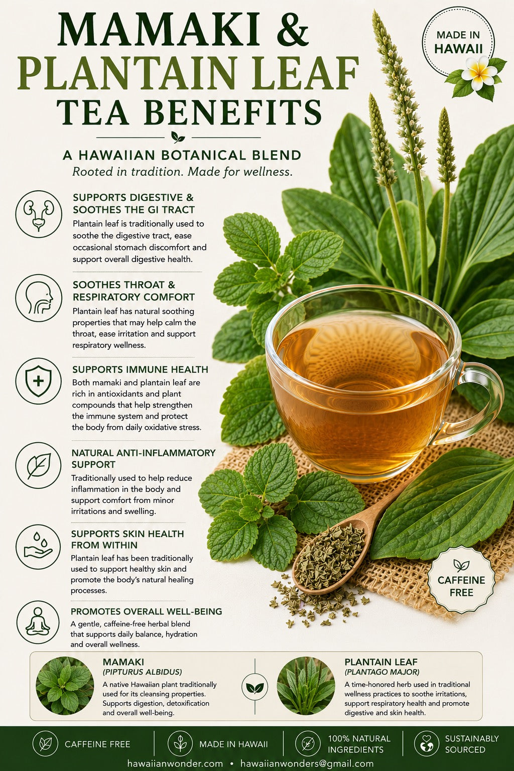 Mamaki & Plantain Herbal Tea Blend